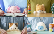 Posture Pal - Little Shelf Charm