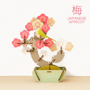 Play Plants Bonsai Puzzles - Display Gift Buddy