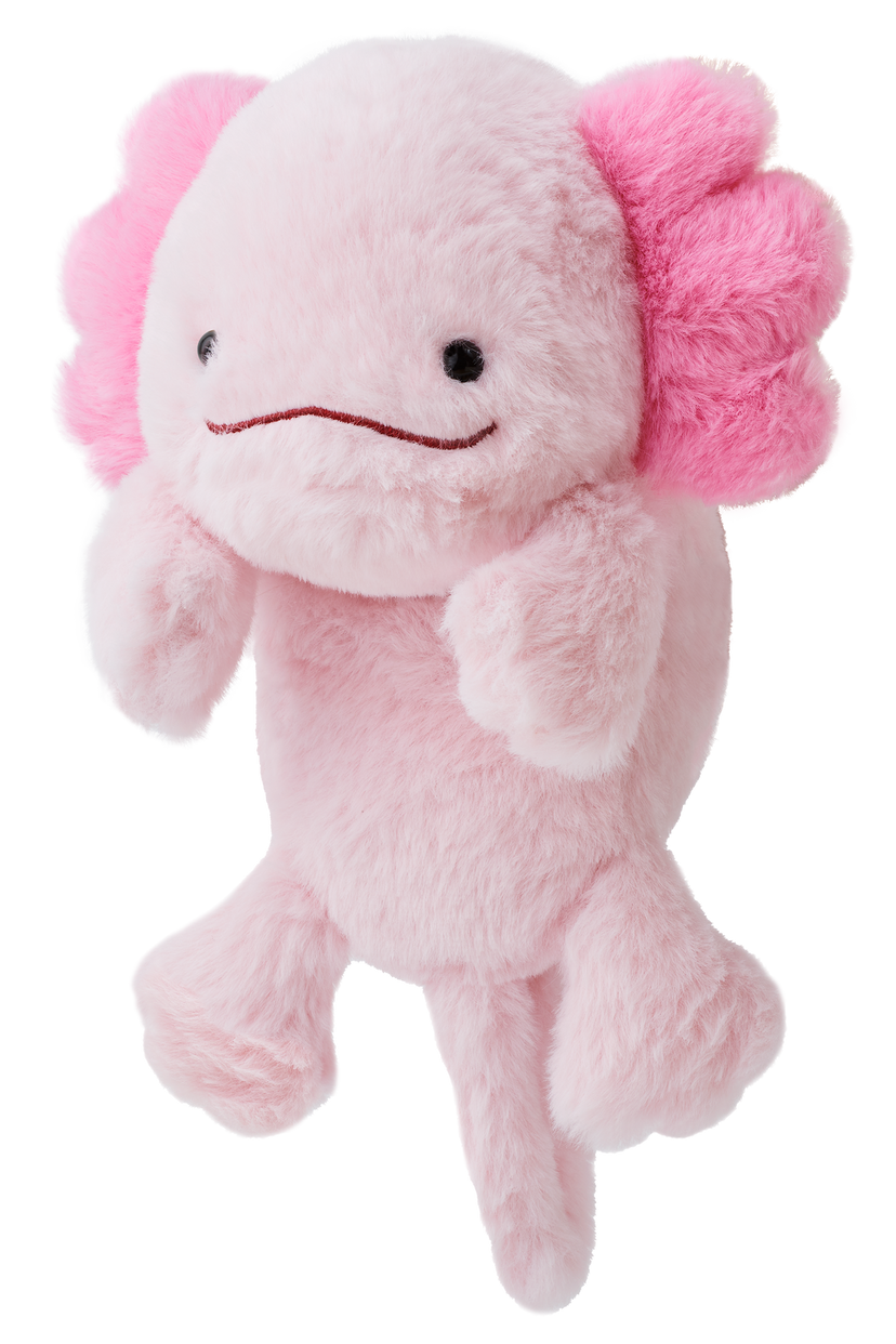 Posture Pal - Little Shelf Charm