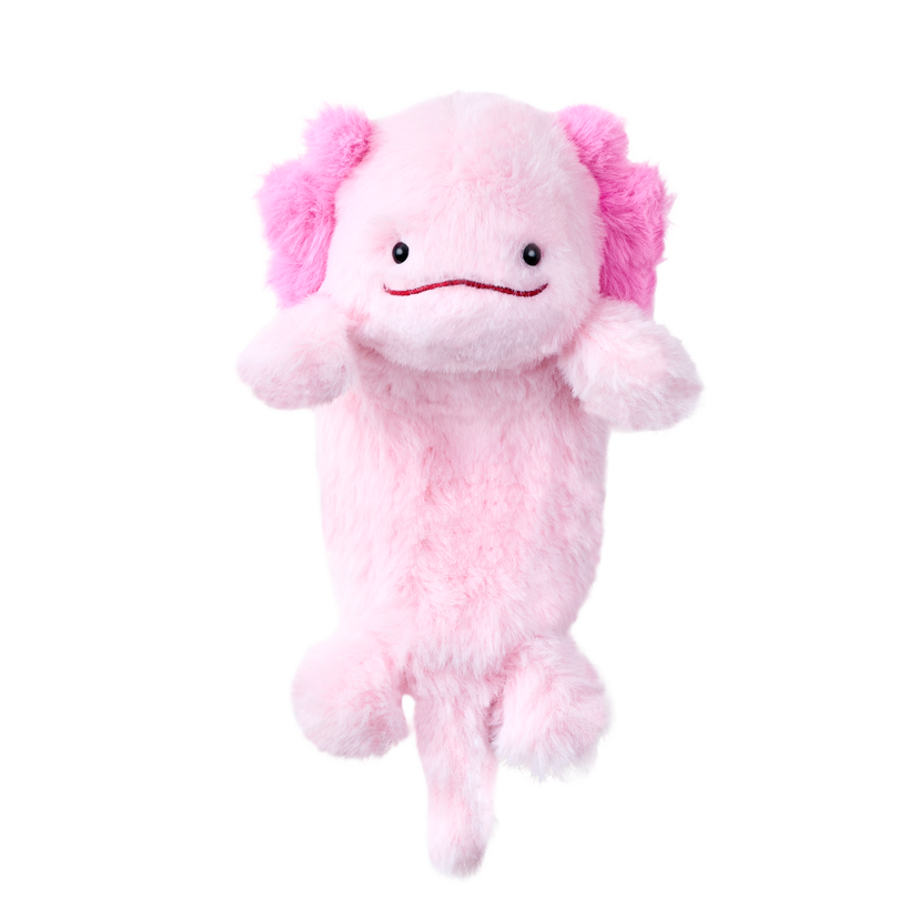 Posture Pal - Daily Comfort