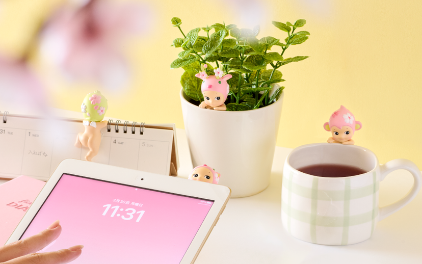 HIPPERS Cherry Blossom Series - Shelf Display