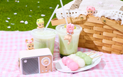 HIPPERS Cherry Blossom Series - Shelf Display