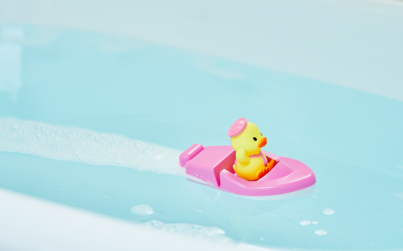 Duck Sailor Boat - Collector Gift Buddy