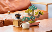 Play Plants Bonsai Puzzles - Display Gift Buddy