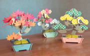 Play Plants Bonsai Puzzles - Display Gift Buddy