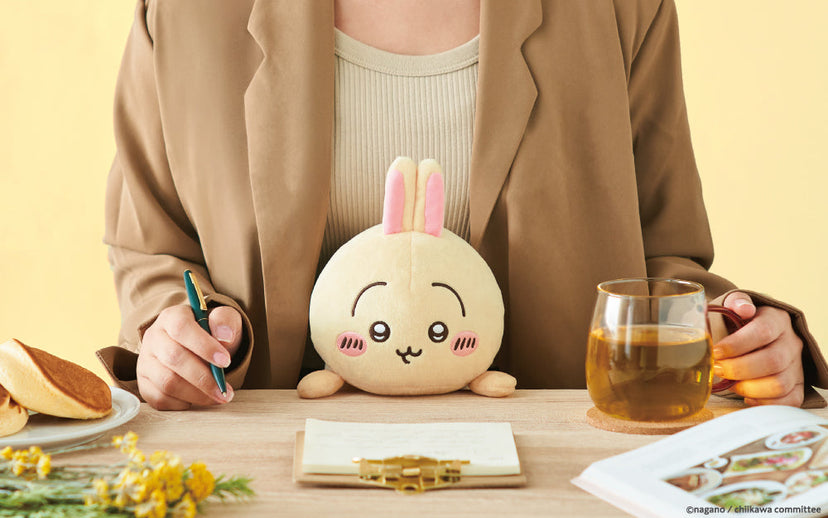 Posture Pal - CHiiKAWA - Little Collector Ready