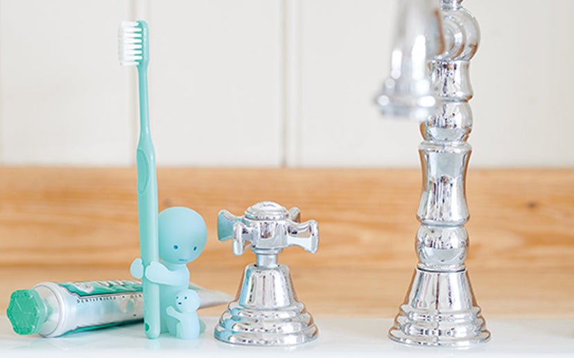 SMISKI Toothbrush Stands - Sweet Studio Carry
