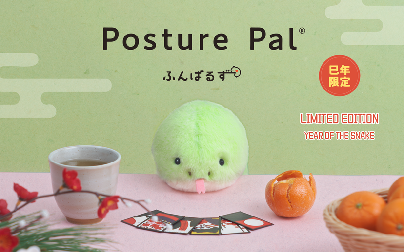 Posture Pal - Gift Travel Carry