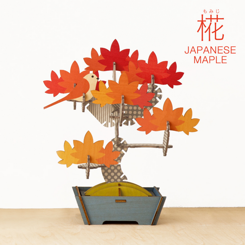 Play Plants Bonsai Puzzles - Display Gift Buddy