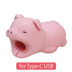CABLE BITE for Type-C USB - Classic Shelf Accent